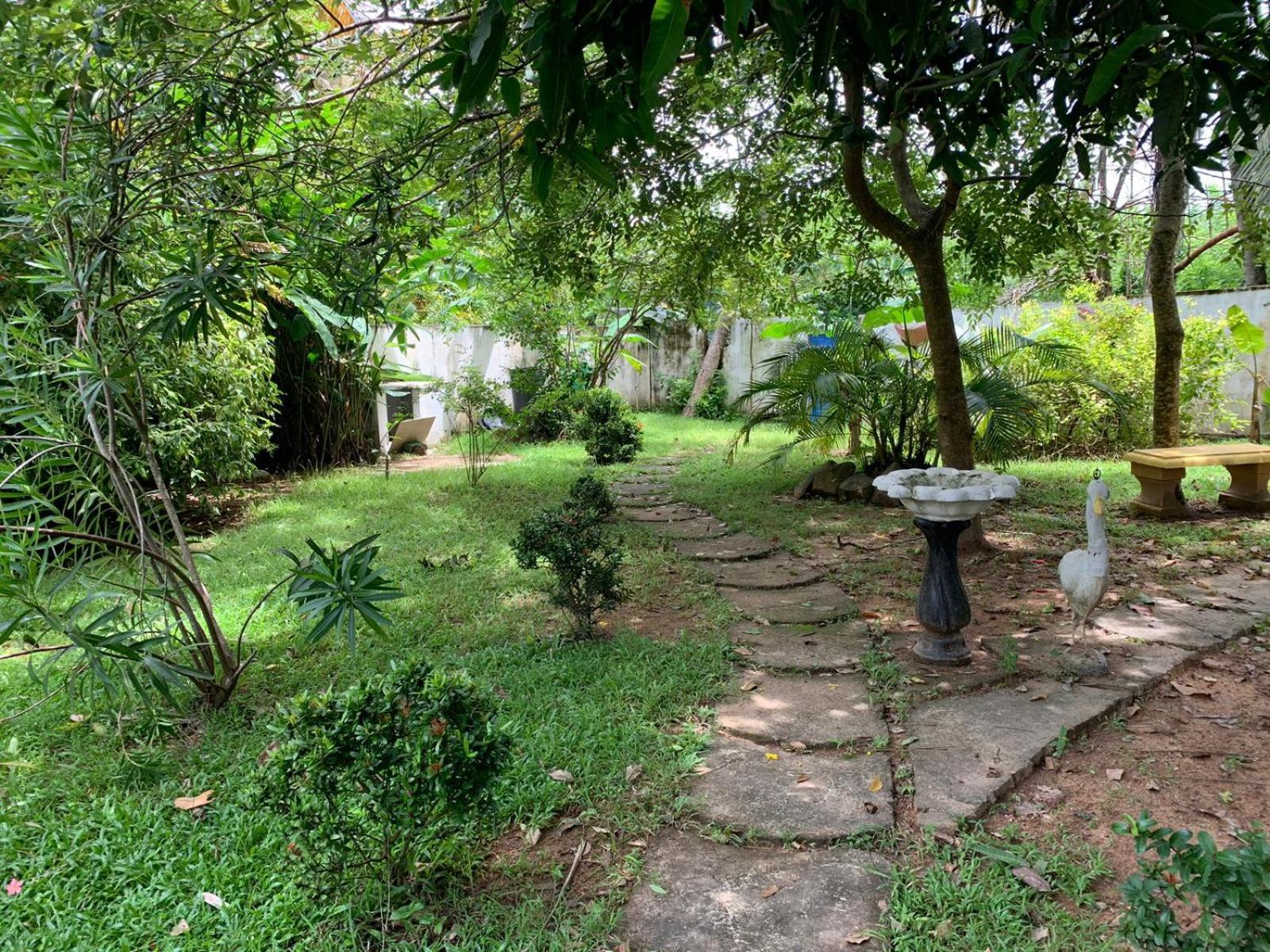 Dream Villa Mirissa Exterior foto
